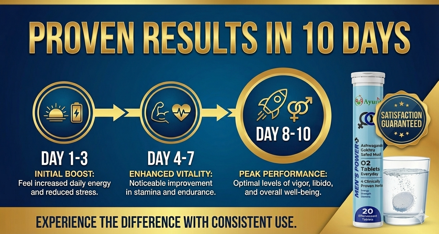 Transformation Timeline