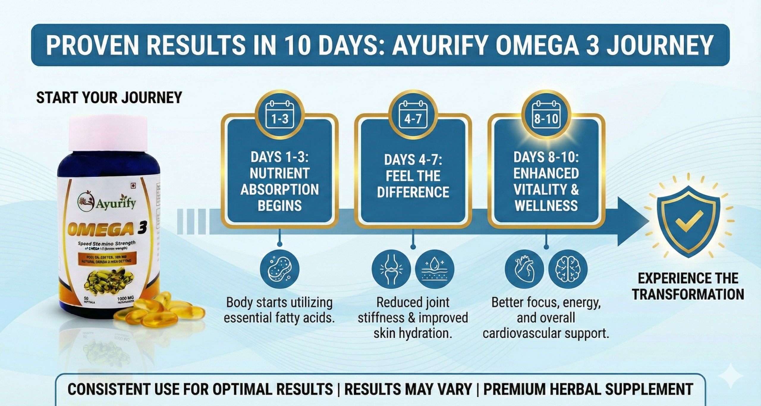 Transformation Timeline