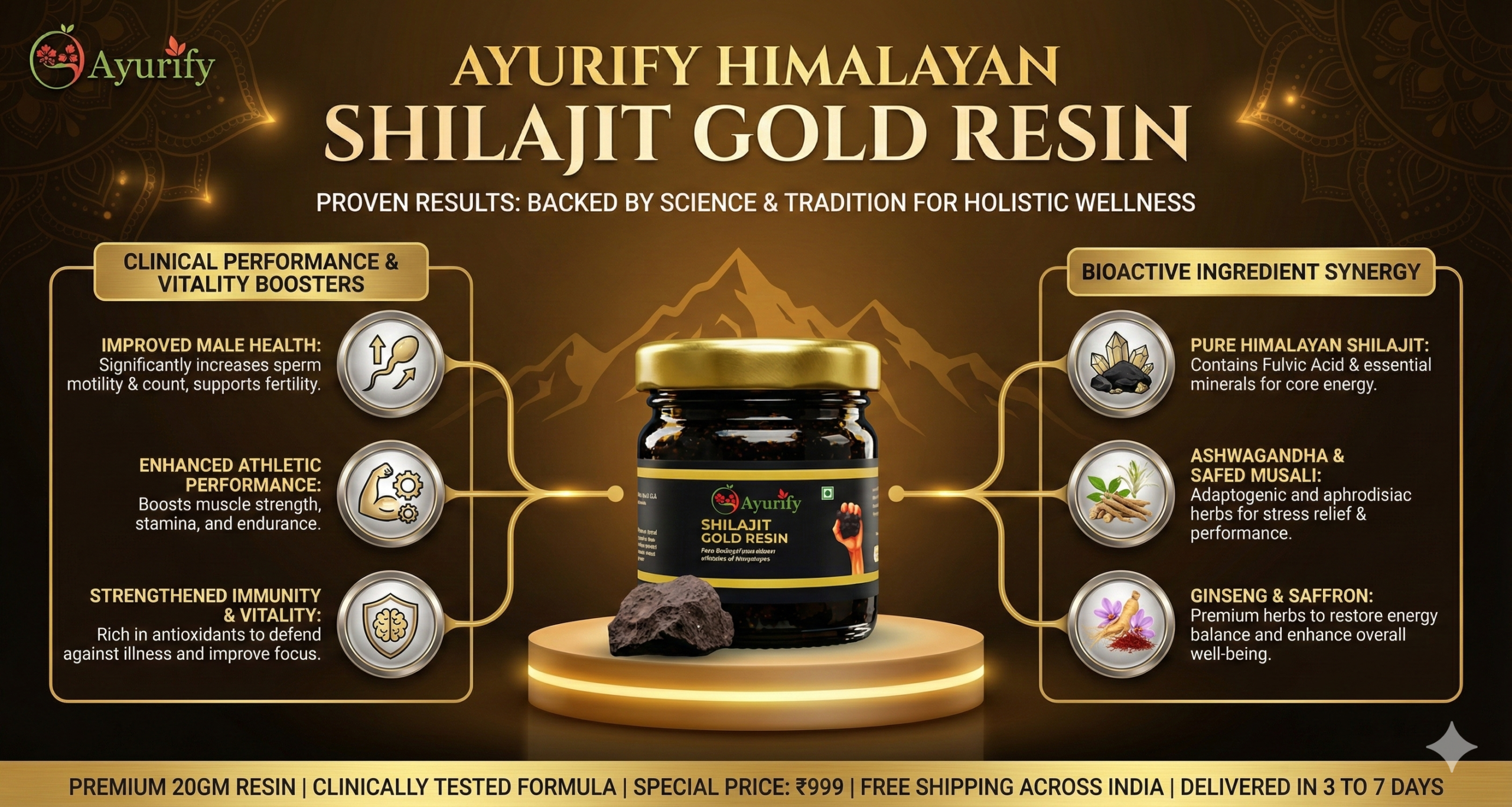 Transformation Timeline