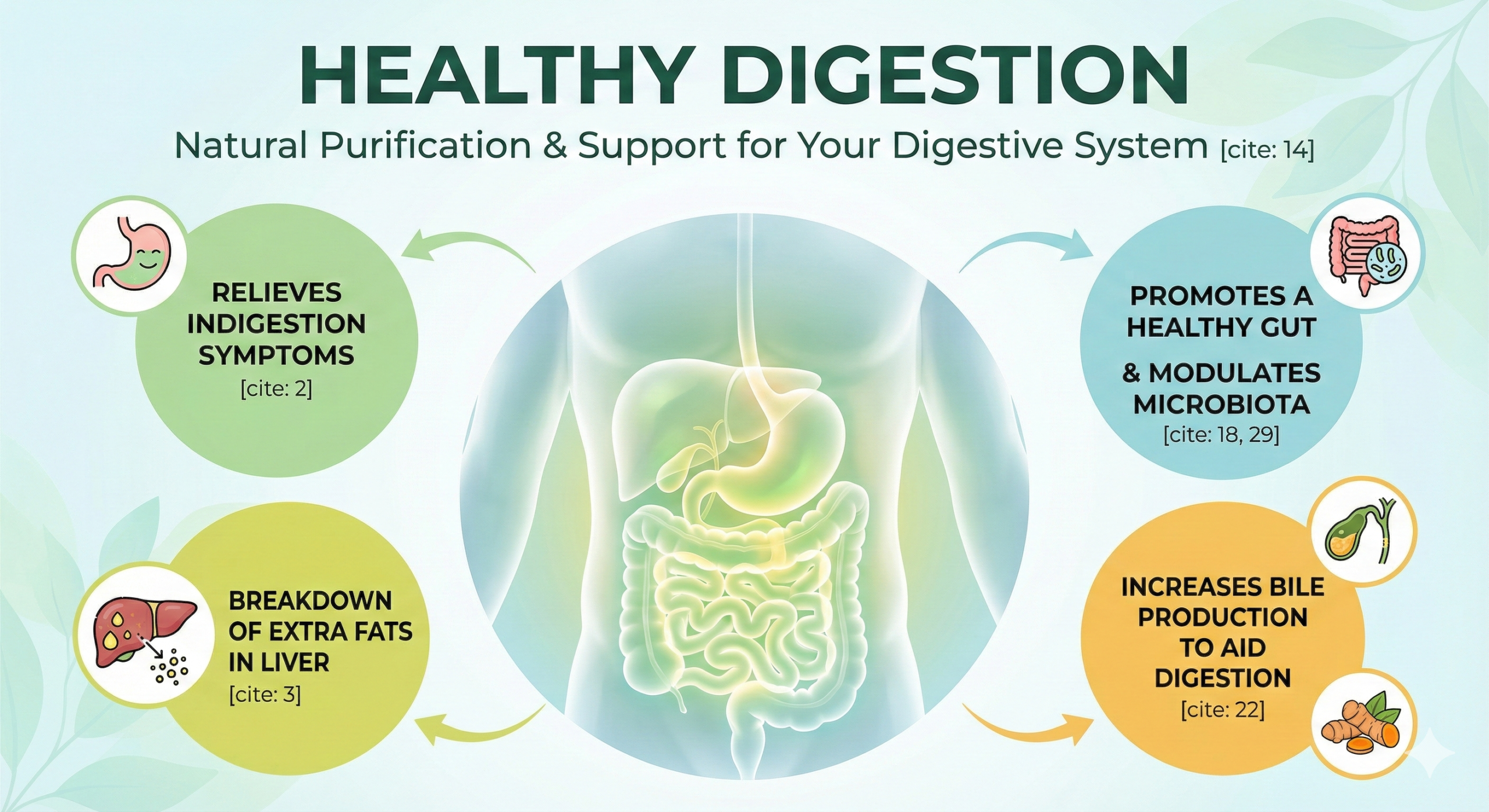 Healthy Digestion